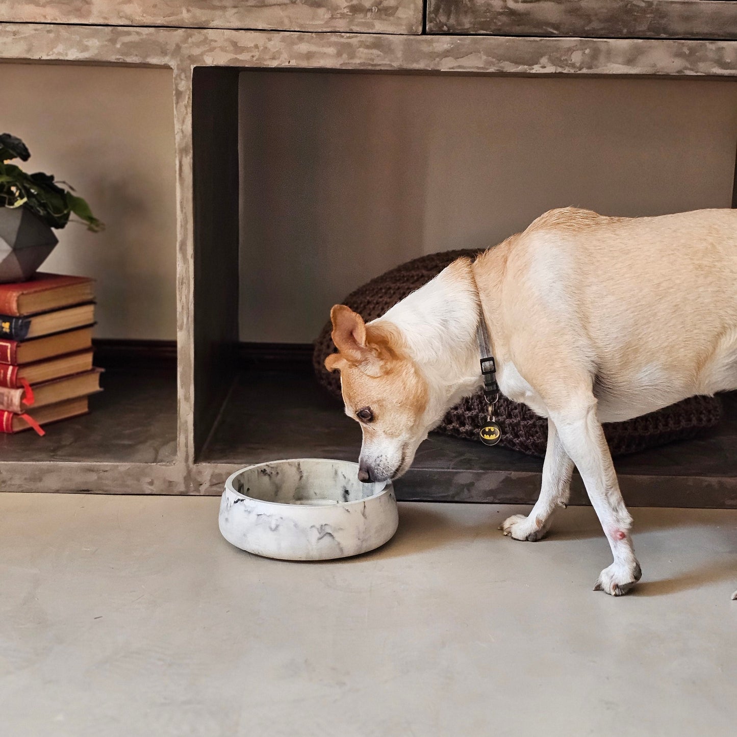 Medium Snack Bowl/Pet Bowl
